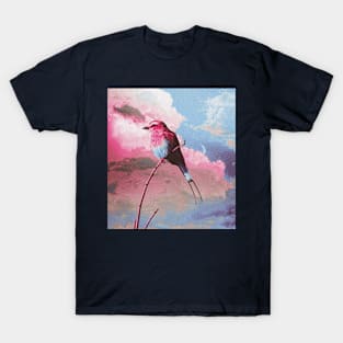 Colorful bird sky T-Shirt